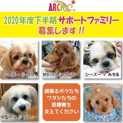 support-family-2020-2募集ポスター.jpg