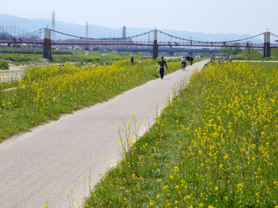 石川