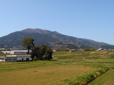 山
