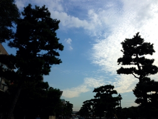 iPhoneImage.png