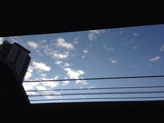 iPhoneImage.png
