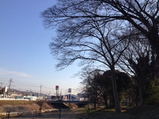 iPhoneImage.png