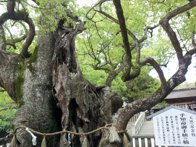 20120504_141522.jpg