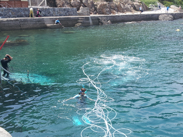 20120812_133831.jpg