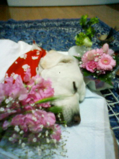 201203302143000.jpg