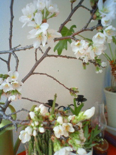201204030946000.jpg