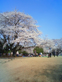 201204091332000.jpg