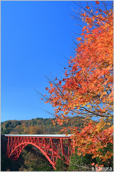 s-0C0A8729.jpg
