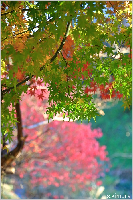 s-0C0A9427.jpg