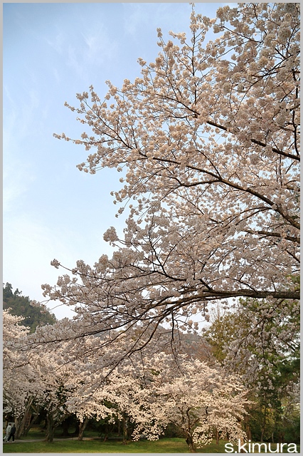 s-0C0A9975.jpg