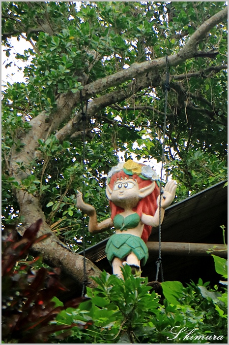 キジムナー | 写真ダイアリー