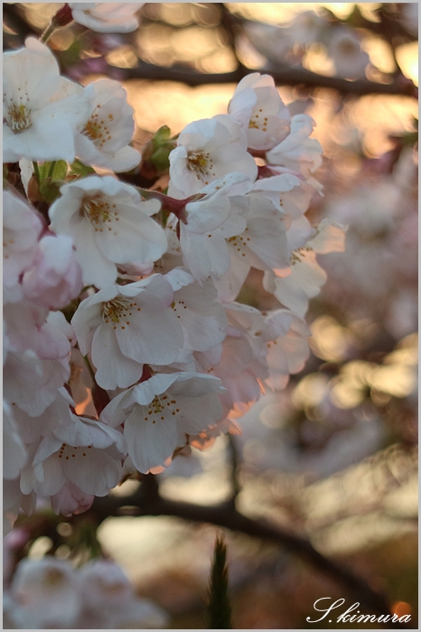 s-IMG_7015.jpg