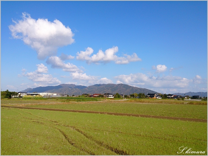 s-DSC_1411.jpg