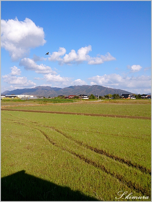 s-DSC_1412.jpg