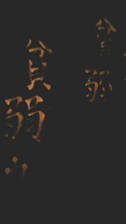 201003042145000.jpg