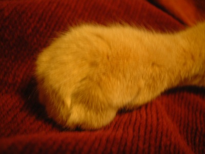 DSCF0020_s.jpg