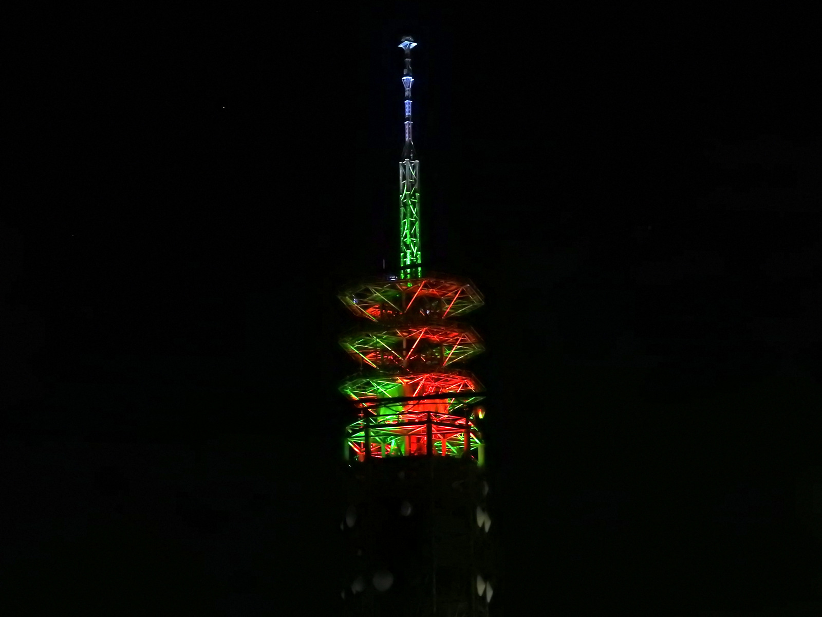 今年も ふじ の果てしないたわごと