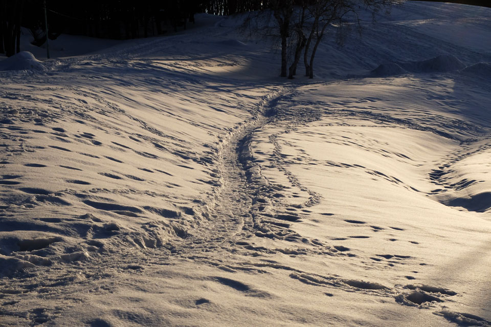 FUJIFILM X20 雪と夕日の写真05