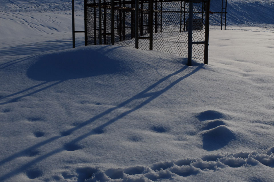 FUJIFILM X20 雪と夕日の写真03