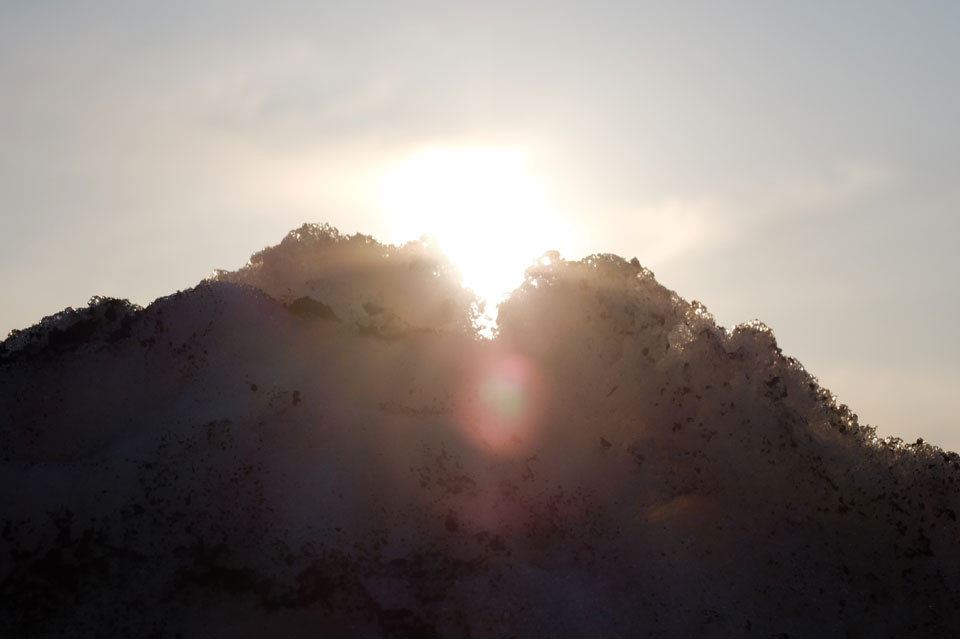 FUJIFILM x20 逆光