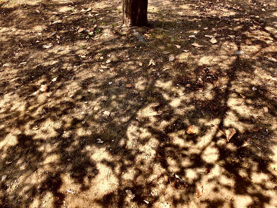 FUJIFILM X20 ダイナミックトーン06
