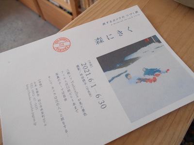 旅するカメラ写真展 林田摂子「森にきく」はじまりました | 古本 冬營舎