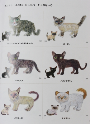 絵本 ねこだらけ あきびんご