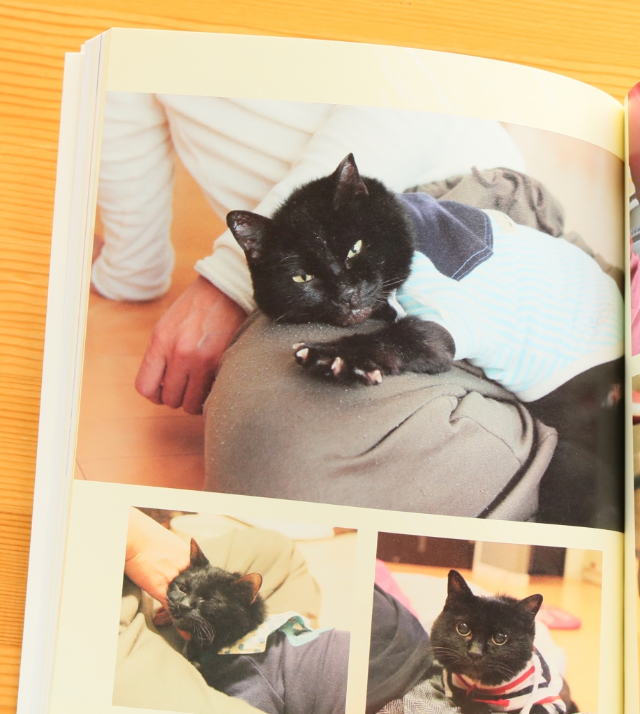 それでも人を信じた猫 黒猫みつきの180日 猫絵本 絵本 秋田 かぎしっぽ
