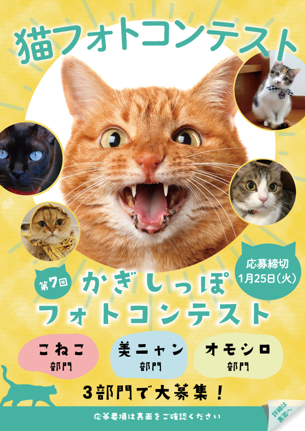 きみの町に星をみているねこはいないかい？」 | かぎしっぽ