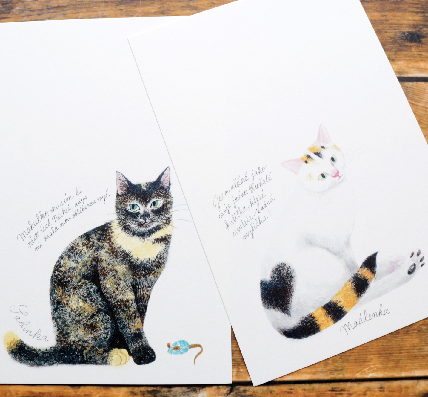 出久根育 ポストカードセット | かぎしっぽ