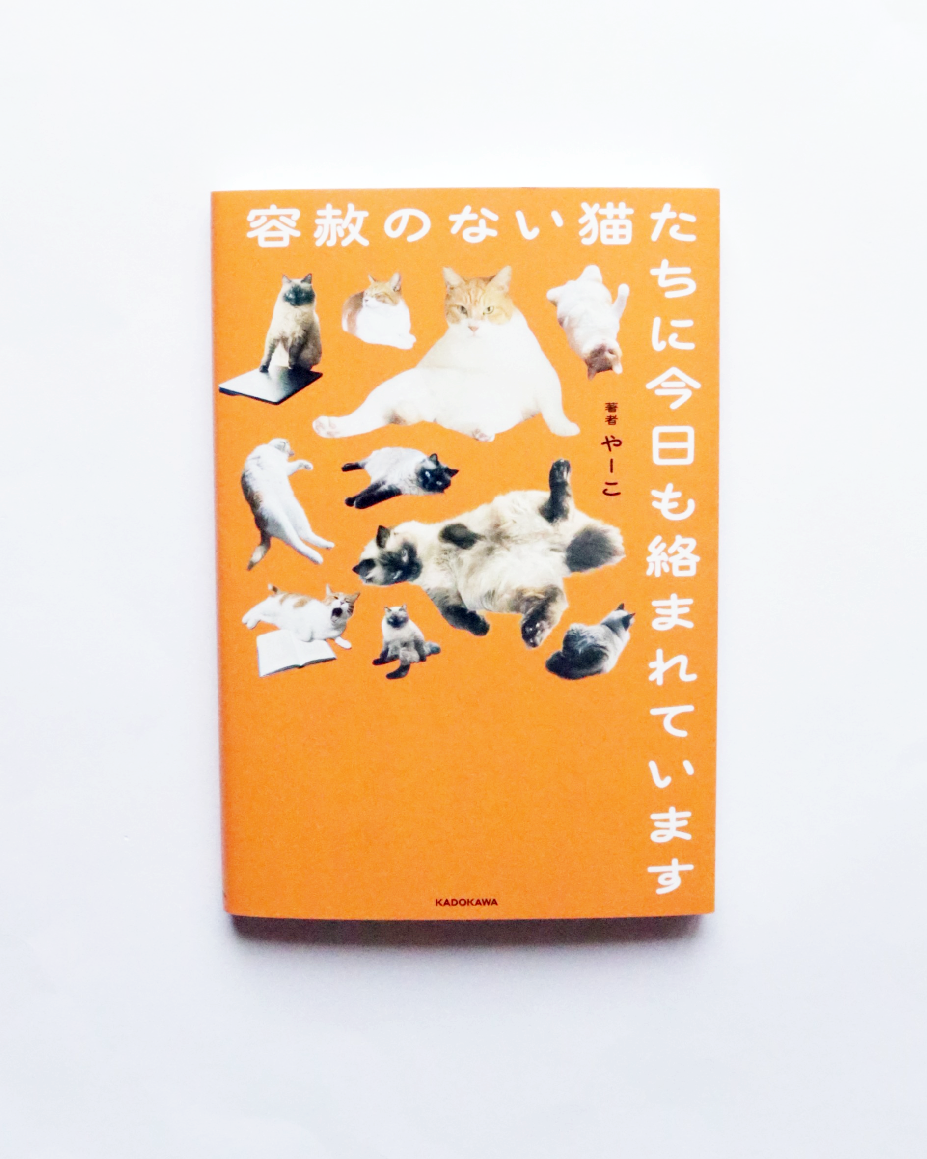 かぎしっぽ