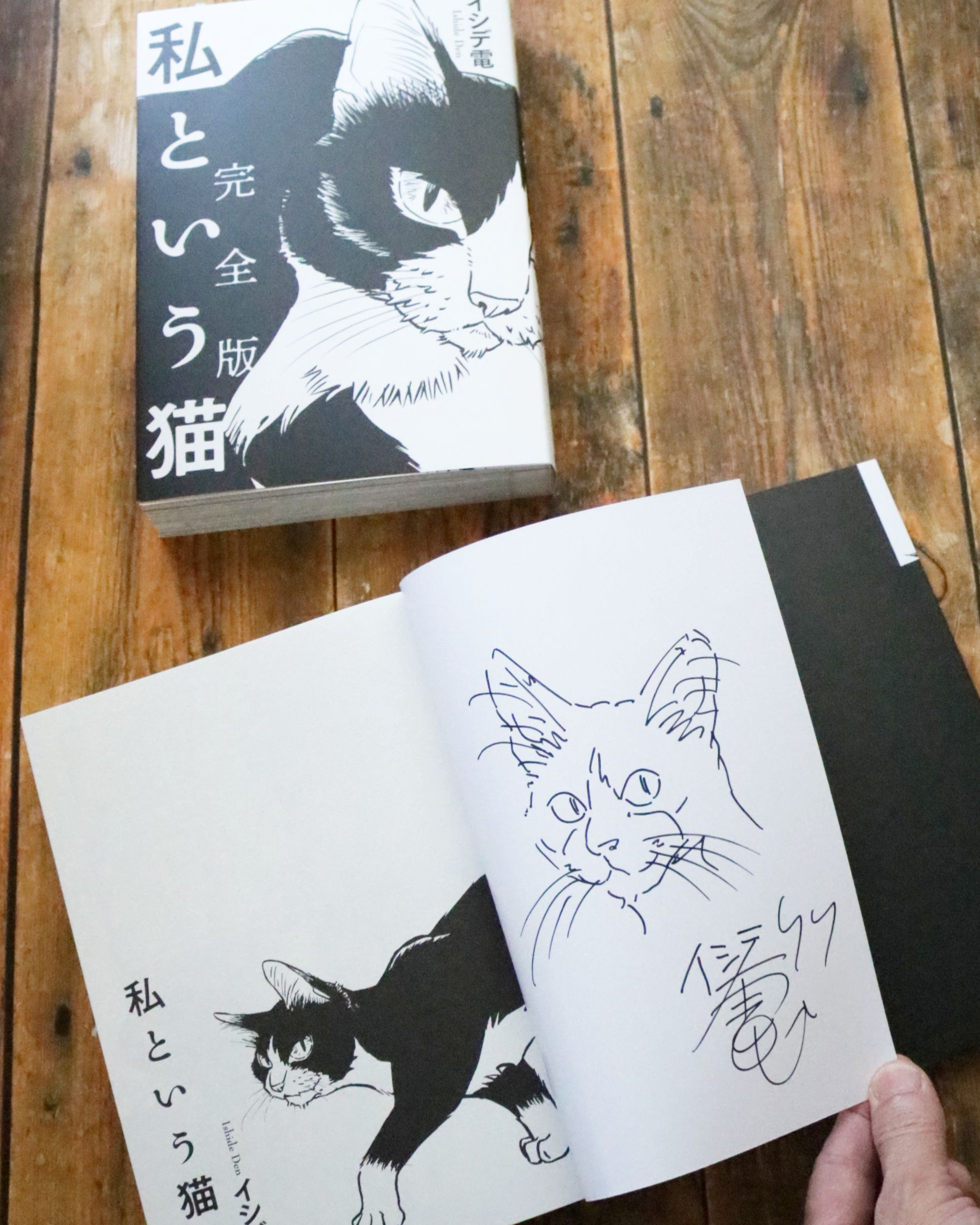 私という猫完全版 原画展 | かぎしっぽ