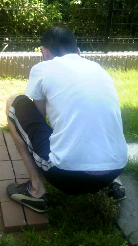 TS3Y00080001.jpg