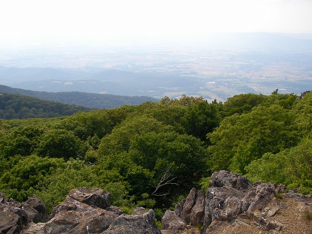 Stony Man Mountain