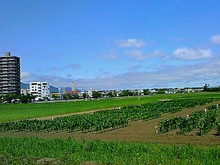 20070621_322451.jpg