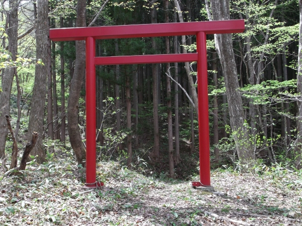 6.JPG