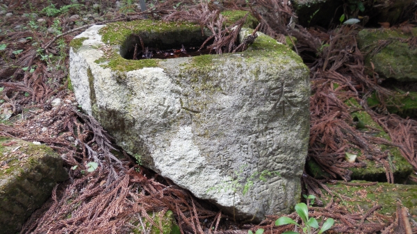 DSCN1659.JPG