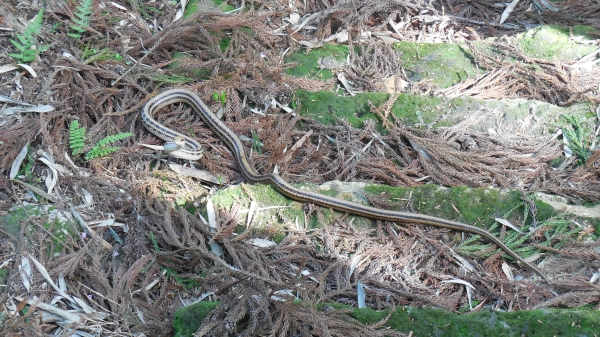 DSCN1664.JPG
