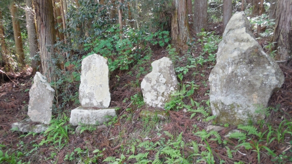 DSCN1667.JPG