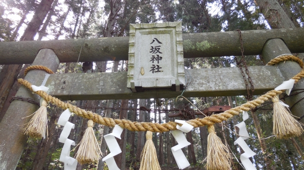DSCN1671.JPG