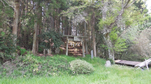 DSCN1674.JPG