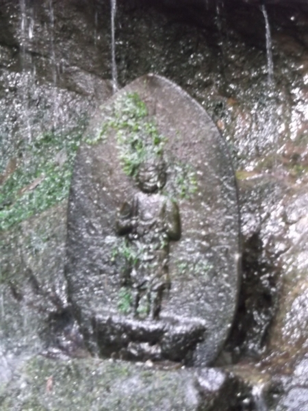 DSCF1783.JPG
