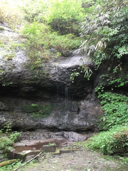 DSCF1786.JPG