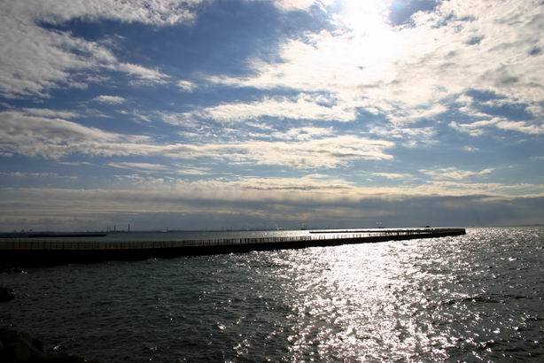 幕張の浜