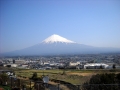 庭から