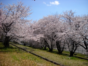 jyousuisa1