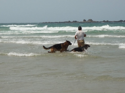 20130507-2.jpg