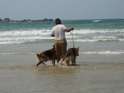 20130507-6.jpg