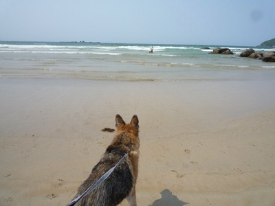 20130507-10.jpg