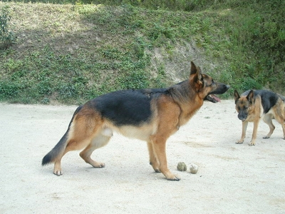 20130509.jpg